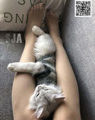 骚虎影视