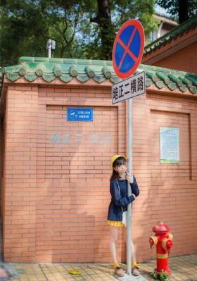借枪电视剧